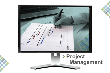 IT Project Management